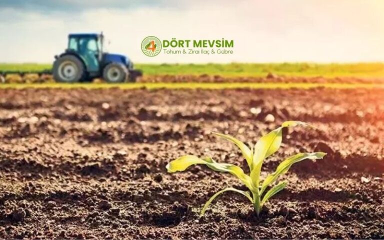 Dört Mevsim Tarım ile Tarımsal Üretimde Doğru Fide Seçimi